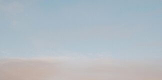 STV News Dundee Tayside: What’s Happening in Your Community?