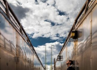 Dundee United FC News: What Surprising Changes Are Coming?