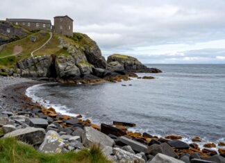 Discover Dundee’s Wild Shore: A Guide to Nature and Adventure